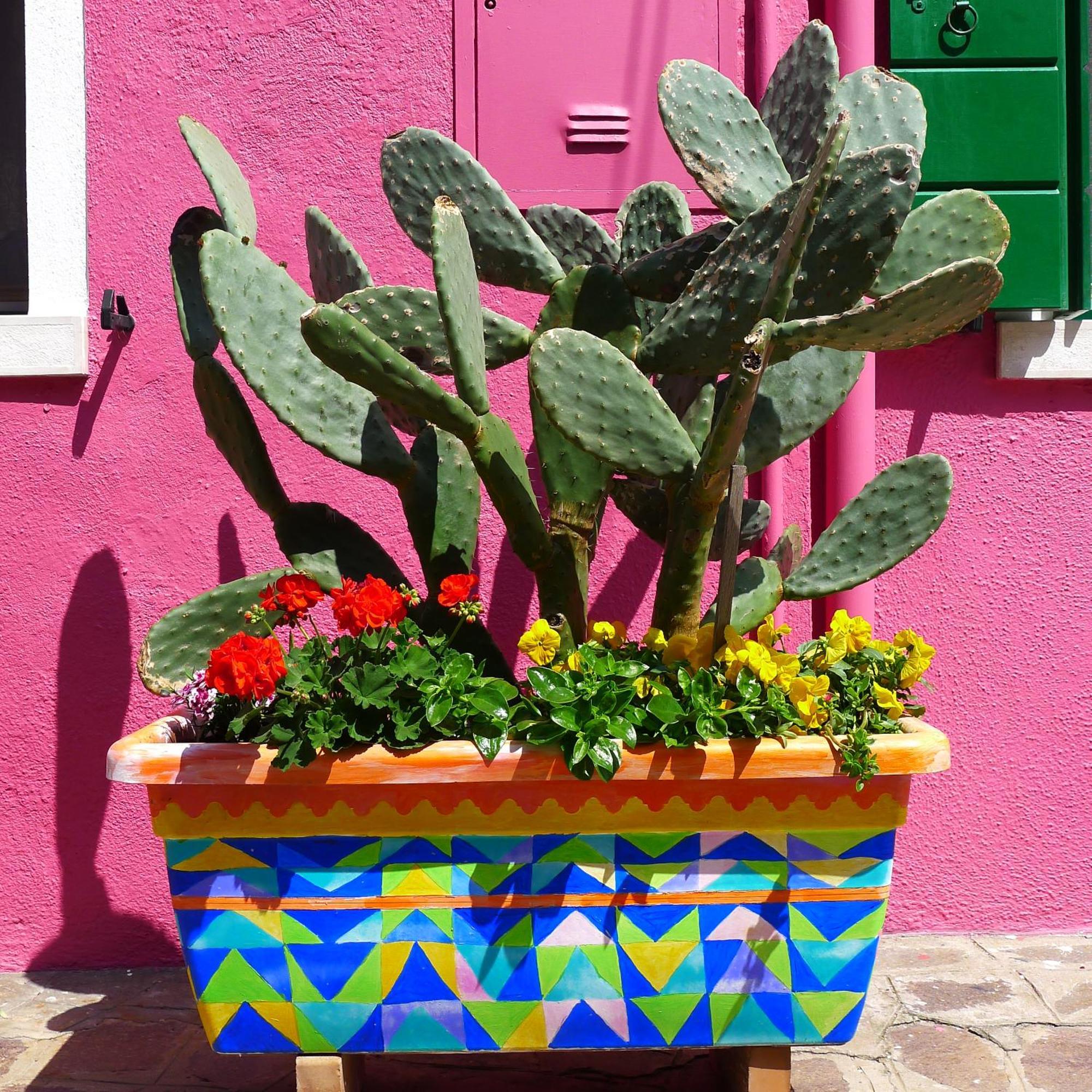 Night Galleria Holiday Home - Bed & Art In Burano - The Pink House المظهر الخارجي الصورة
